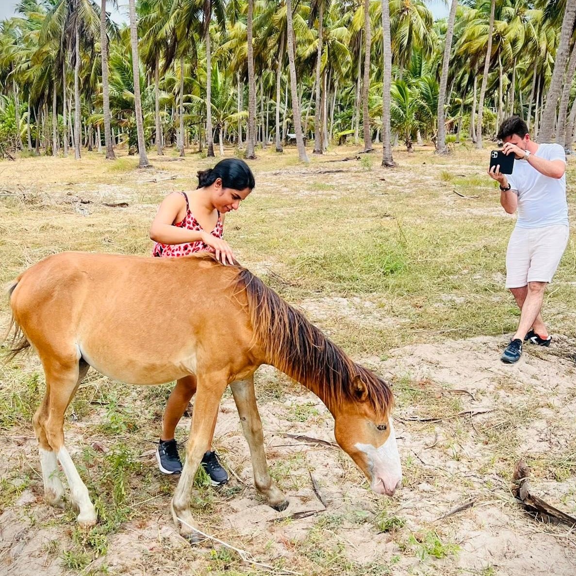 Horse Riding